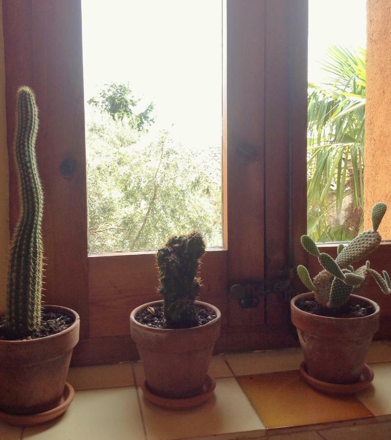 Apartamento La Costa Peralada Luaran gambar